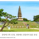중앙에 우뚝 선 탑, 전란에도 흔들리지 않은 충심 이미지