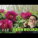 모란동백