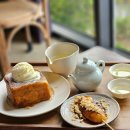 넘버25(NO.25)호텔 제천 화산점 | 제천 2박 3일 완벽한 코스 꿀팁 (feat. 숙소, 관광지, 맛집, 카페)