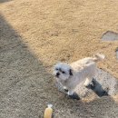 달코코