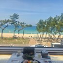 2020-427 | 강릉 경포대 맛집 오션뷰 건도리횟집 모듬회소자 후기 주차