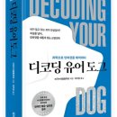 도그지음 이미지