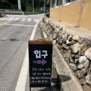 인제막국수 이미지