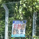 문암별장 이미지