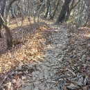 계룡산국립공원 티스토리