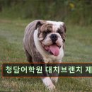 강남 대치동 대치 영어학원 어학원 청담어학원 대치브랜치 제2지점 체계적 수업으로 유명한