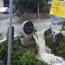 오미1동 이미지