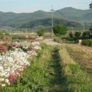 신지마을회관 이미지