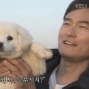 해뜨는댕 이미지