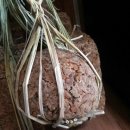 승규농장 이미지