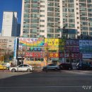 딕인 차이나 네이버블로그