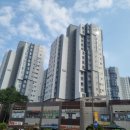 내곡동411 이미지