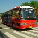 동천여행사 이미지