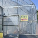 능전농장 | 딸기농장체험_18개월