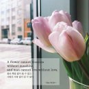 오늘의 '영어 명언'(146강) F. 막스 뮐러(Friedrich Max Muller) 이미지
