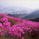 불광2-011 이미지