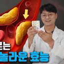 '만성염증'을 없앤다는 오메가3, 그보다 더 중요한 효능이 있습니다. 오메가3의 효능 효과 작용 기전을 정리해봤습니다 이미지