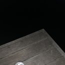 두*보