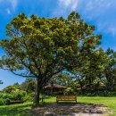 씨에스 호텔 앤 리조트 이미지