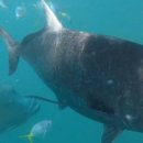 YOLO BEACH 이미지