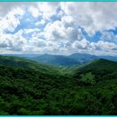 남산고등학교 이미지