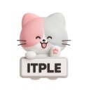 마이크로비트와 엔트리 인공지능 | &lt;SW AI를 위한 마이크로비트 with MakeCode(교재+키트)&gt;를 소개합니다:)