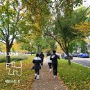 미국 일상 : 미국인의 블루치즈 파스타 레시피, 집밥 일기, 퐁이와 함께한 11월