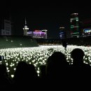 동대문 디자인 플라자 장미축제 이미지