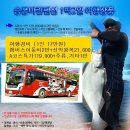 6월6~7일(토,일) 1박2일/승봉도,사승봉도섬,패키지여행 선착(입금)순20명한 이미지