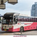 신흥여객자동차 이미지