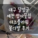 사촌9세천 | 성서꽃집, 대구 달성군 다사읍 더즈플라워 꽃다발 예약 후기