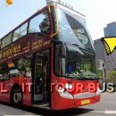 서울시티투어버스 이미지