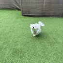 주흥9길 26-5 | 26년 3월 일상 | 이라고 쓰고 입원 기록이라고 읽는다…