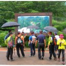 비 내리는 대아수목원 산책(14.8월 일요산행) 이미지