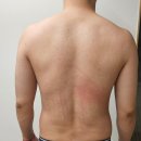 집나온홈짐 | 홈트 끝판왕 헬스운동기구 턱걸이, 조정머신 짭셉, 스포츠밴드로 홈짐 종결하기! 조정머신 1달 후기