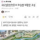 국토정중앙천문대 하늘별 체험장 조성 이미지