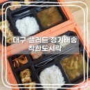 착한도시락 | 대구 달서구 샐러드 정기배송 가성비 좋은 착한도시락