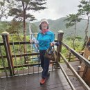 웰리힐리파크 이미지