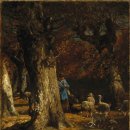 숲(Forest) 이미지