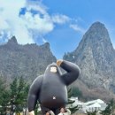 울릉도 카페추천 “울라” 고릴라 보러 가야죠