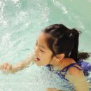 스테이빛토 키즈 | 경남 사천 풀빌라 펜션 아이와 여행 스테이빛토 키즈풀빌라