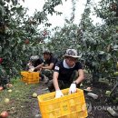 진안-진안-비상-29 이미지