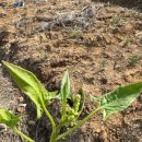 열호농장 이미지