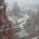 하얀나라깨끗한세상 이미지