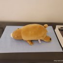산본왁싱 나래왁싱바 찐 후기!