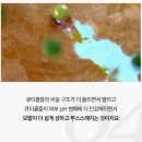 [트레세느몽 후기]미용실, 폭싹 망했수다?
