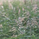 낙동강체육공원 인라인스케이트장+게이트볼장 이미지