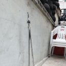 시바직구 이미지