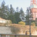 오(O) | [오데이즈 O-Days] 도쿄 스냅 후기 세가족의 일본 여행