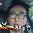 스테이피 이미지